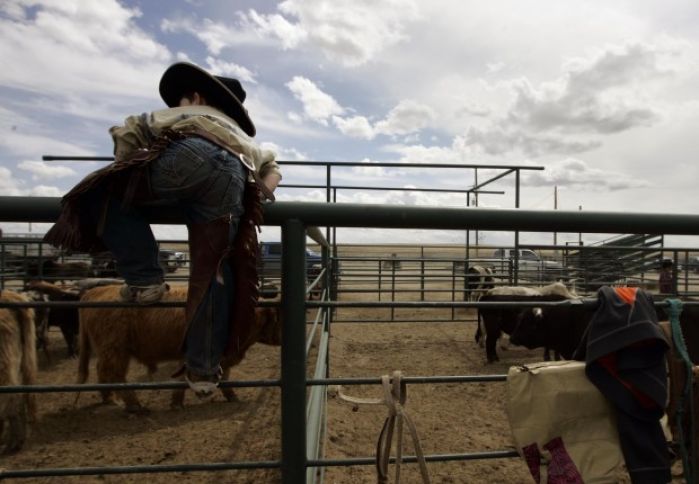 Mini Bull Riding